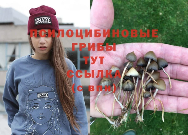 Альфа ПВП Баксан
